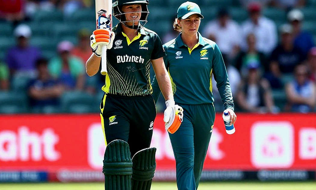 The Label Said Cricket. The Tape Said Gold: An Audit of Twenty-Two Information Points